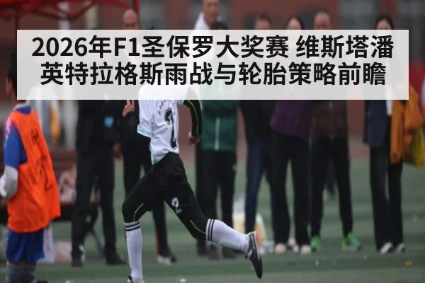 2026年F1圣保罗大奖赛 维斯塔潘英特拉格斯雨战与轮胎策略前瞻